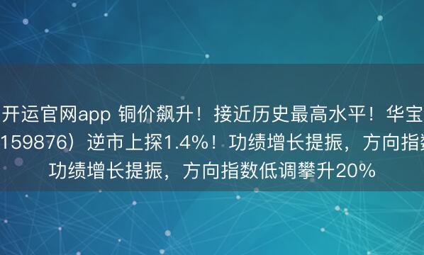 开运官网app 铜价飙升！接近历史最高水平！华宝基金有色ETF（159876）逆市上探1.4%！功绩增长提振，方向指数低调攀升20%