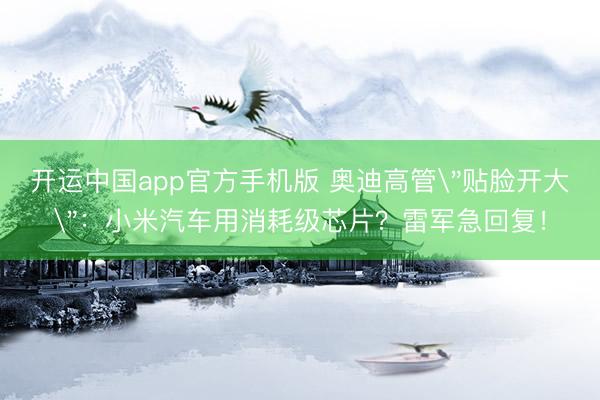 开运中国app官方手机版 奥迪高管