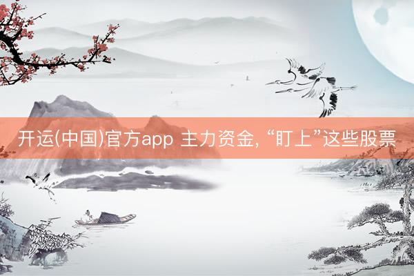 开运(中国)官方app 主力资金， “盯上”这些股票