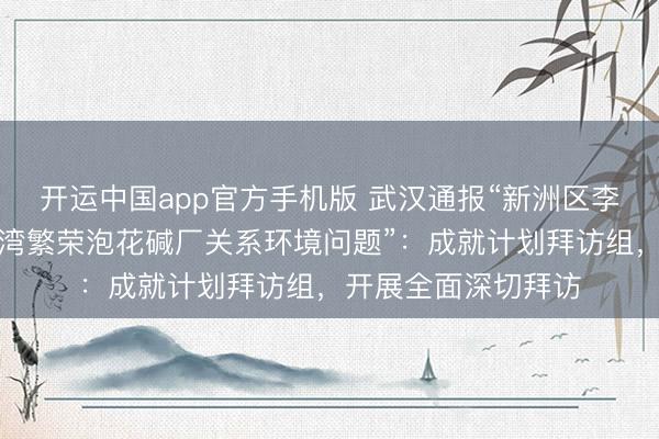 开运中国app官方手机版 武汉通报“新洲区李集街张信村黄土坡湾繁荣泡花碱厂关系环境问题”：成就计划拜访组，开展全面深切拜访