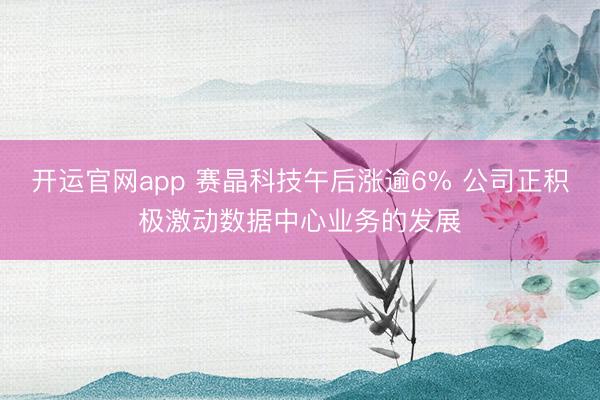 开运官网app 赛晶科技午后涨逾6% 公司正积极激动数据中心业务的发展