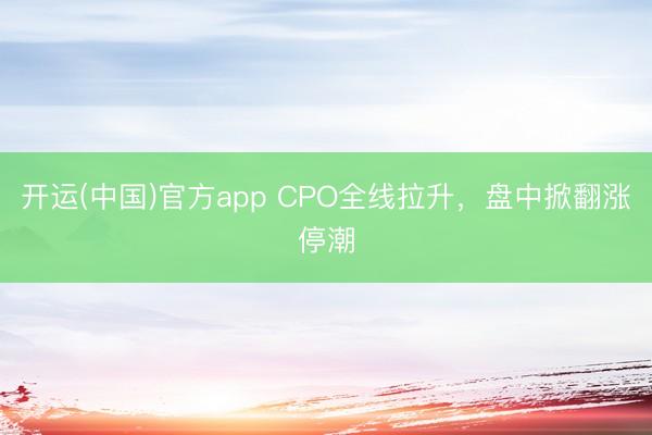 开运(中国)官方app CPO全线拉升，盘中掀翻涨停潮