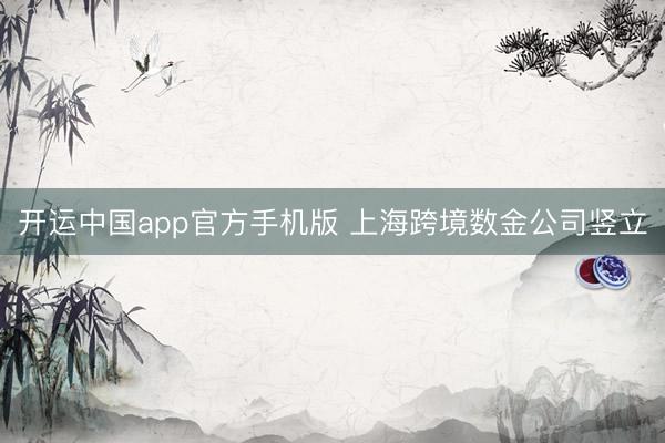 开运中国app官方手机版 上海跨境数金公司竖立